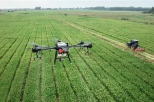 Inteligência Artificial na Agricultura: Colheitas Mais Inteligentes
