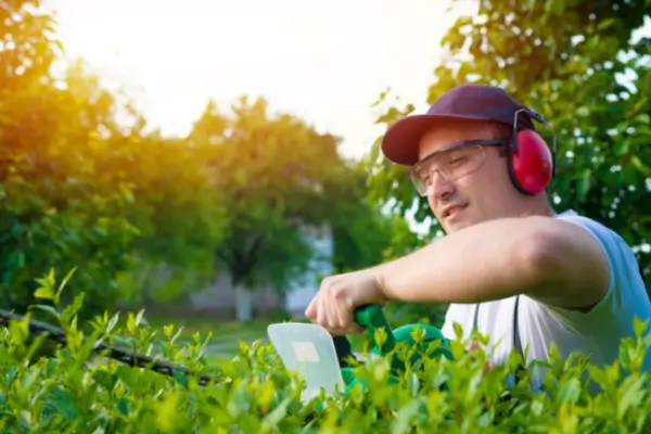 Inteligência Artificial na Agricultura: Colheitas Mais Inteligentes